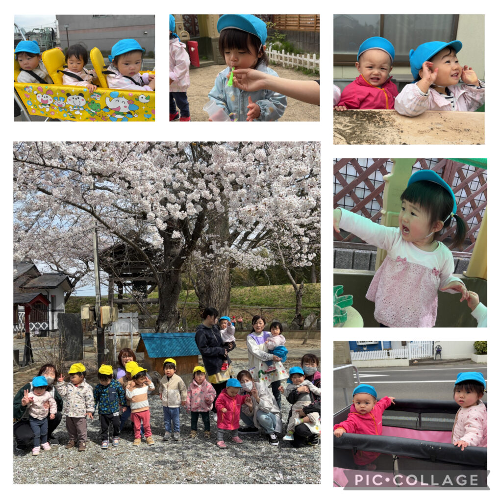４月の様子