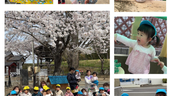 ４月の様子