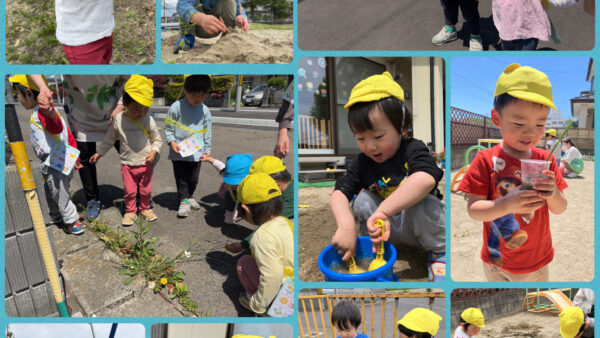 5月の様子